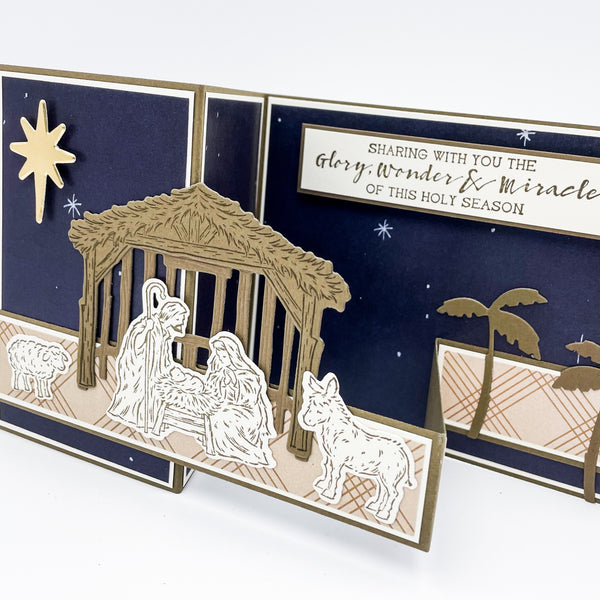 Nativity Theme Pop Up Christmas Card