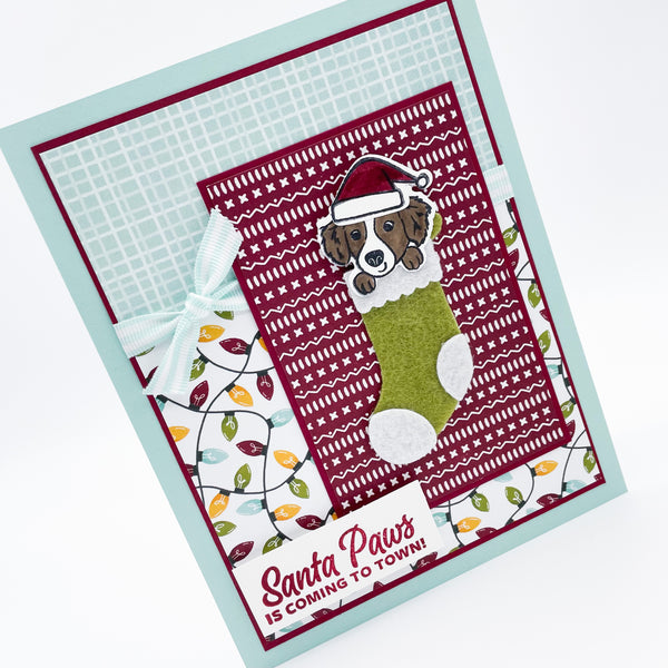 Santa PAWS is Coming to Town Christmas Card
