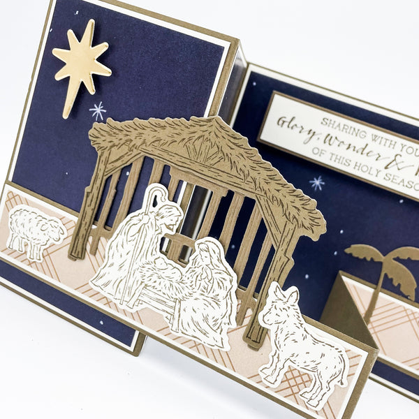 Nativity Theme Pop Up Christmas Card