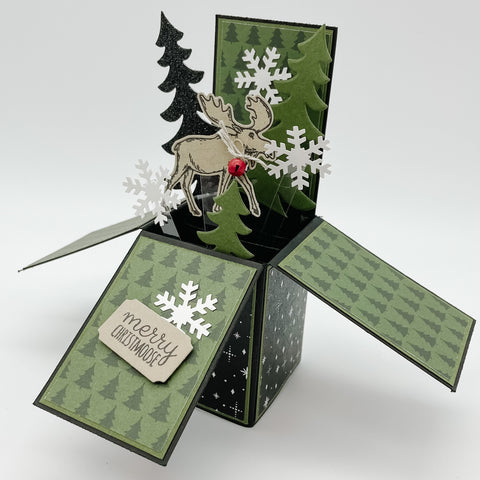 Merry Moosemas Pop Up Card