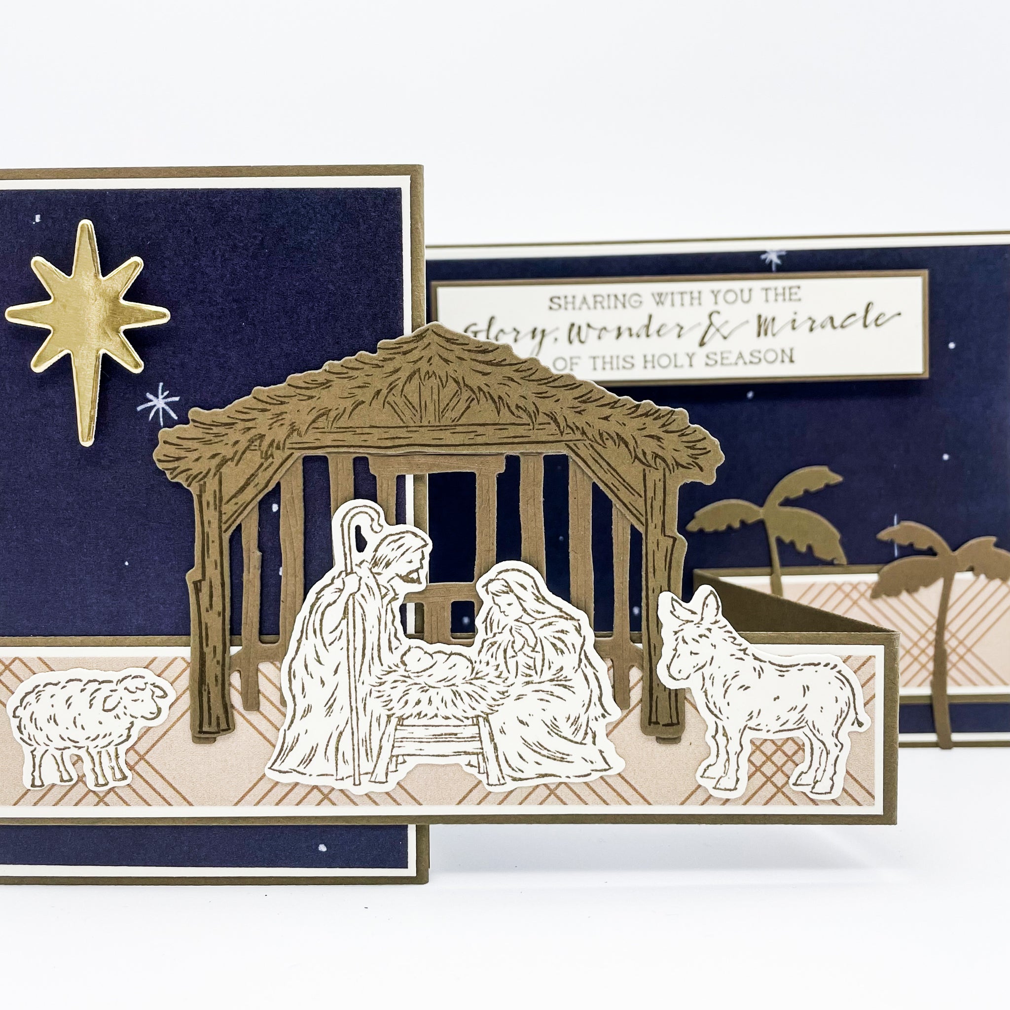 Nativity Theme Pop Up Christmas Card