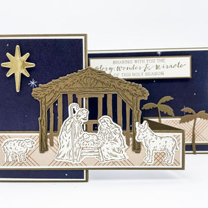 Nativity Theme Pop Up Christmas Card